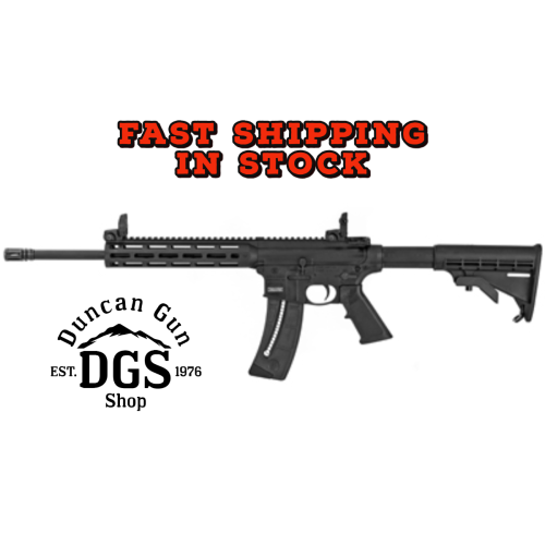 S&W MP1522 22LR 16B 25RD
