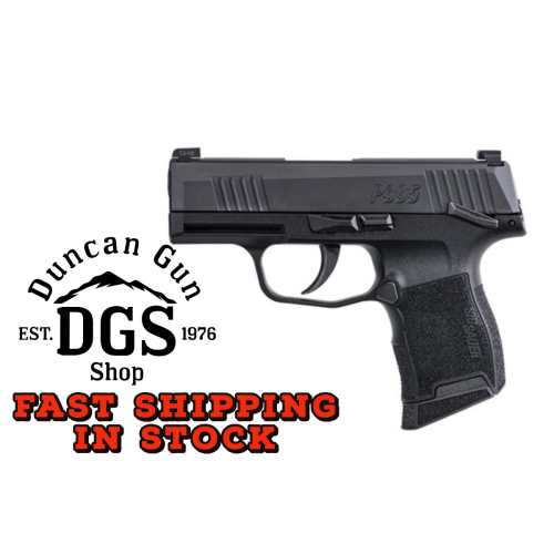 SIG P365 NIT PST 380 10R NS MS