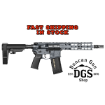 RADIAN MODEL 1 300 BLACKOUT PISTOL 9" RDGRY R0053