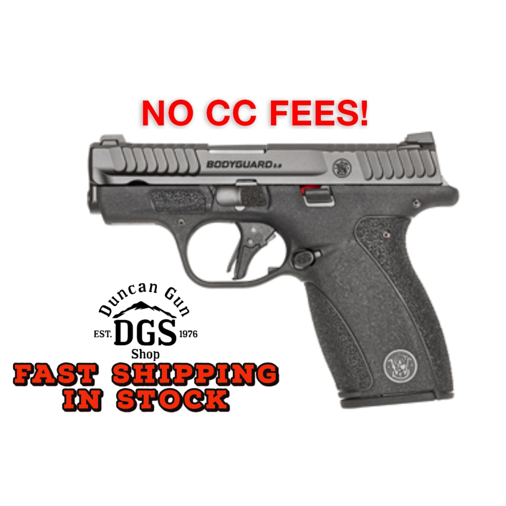 S&W Bodyguard 2.0 .380 ACP 13927