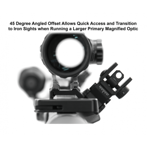 45 Degree Angle Flip Up Rear Sight