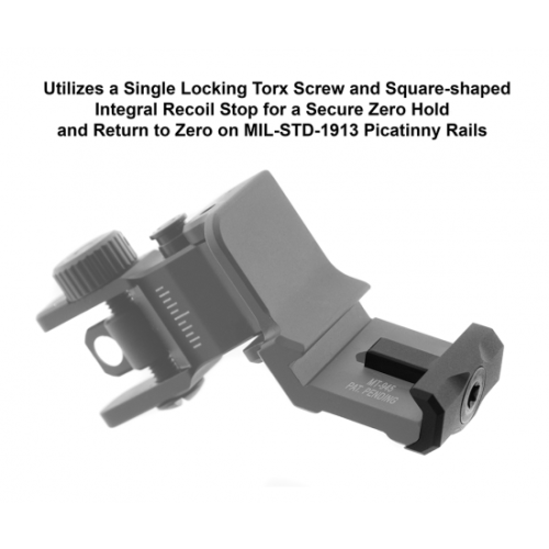 45 Degree Angle Flip Up Rear Sight