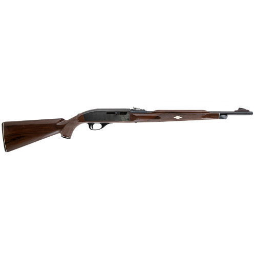 Remington Nylon 66 .22 LR Semi-Automatic Rifle