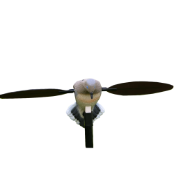 Mojo Outdoors Voodoo Decoy, Dove Mojo Outdoors Voodoo Decoy, Dove