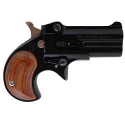 DAVIS INDUSTRIES DERRINGER.22 MAG