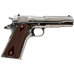 Colt Government Model O1070BSTS Semi Auto Pistol .45 ACP 5