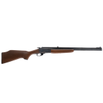 Savage Model 24 Series S .22LR / 20 GA
