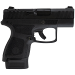 Beretta APX-A1 Carry 9mm