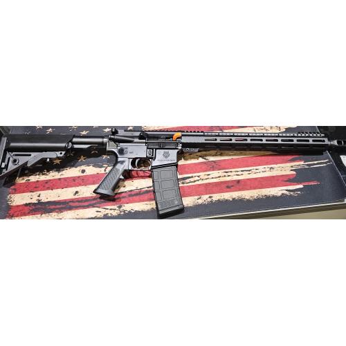 Mad Wolf Armory AR-15 with Case