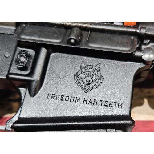 Mad Wolf Armory AR-15 with Case