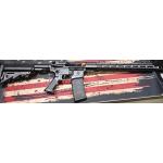 Mad Wolf Armory AR-15 with Case