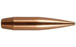 BERGER GR ELITE HUNTER 100CT
