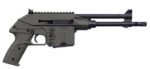 PLR-16 223REM BL/GRN 10+1 9.2