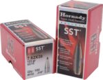 HORN 3142   BULL .310 123 SST               100/25