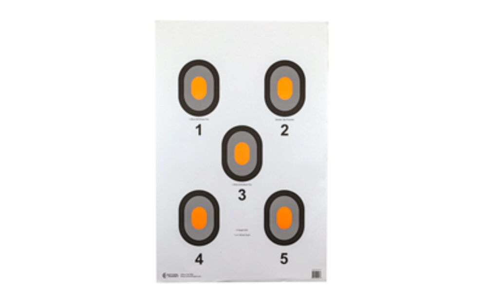 ACTION TGT ORG CENTER 5 BLSEYE 100PK