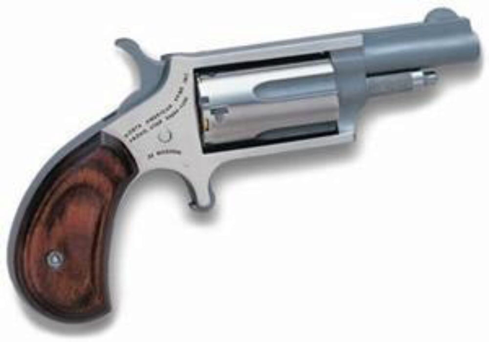 MINI 22MAG REV 1-5/8 SS
