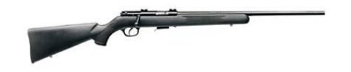 SAV 93R17-FSS 17HMR BA RFL SS