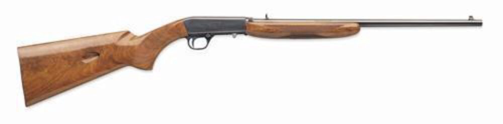 SEMI-AUTO 22LR BL/WD