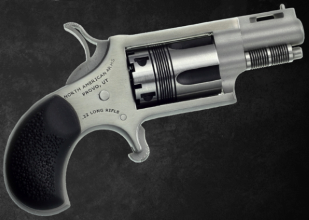 THE WASP 22LR REV 1-1/8 SS