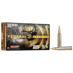 Federal 300WINMAG 180GR BTSX