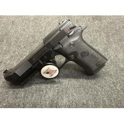 Beretta 80x  2 ten round mags