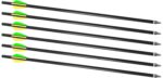 TRAD XBR CRACKSHOT 16 ARROWS 6PK