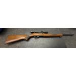 Ruger 10/22 22LR