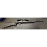 Ruger 10/22 22LR Rifle