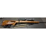 Remington 700 .300 win mag