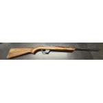 Winchester Model 77 22LR