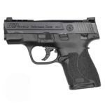 S&W MP2 SHDPC 40SW 3.1B PRT NS