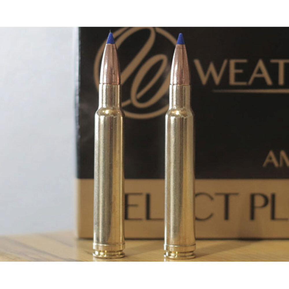 WBY AMMO 340WBY 250GR INTERLOCK 20/10