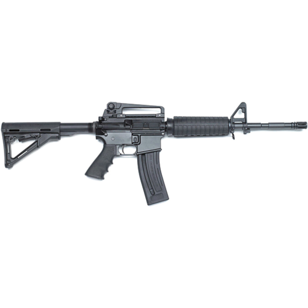 CHIAPPA M4-22 22LR 16 CARBINE (2) 28RD