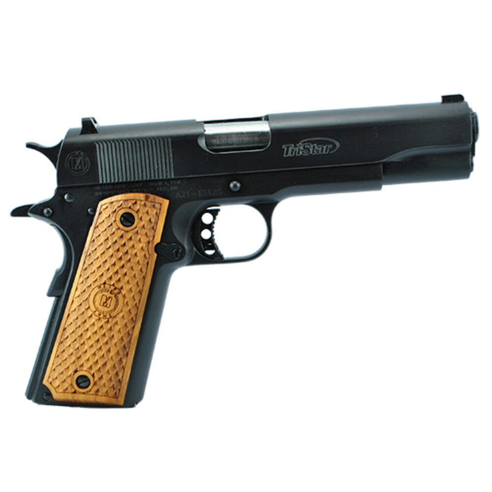 AMER CLSC GOVT 1911 45ACP 5 8RD BLU