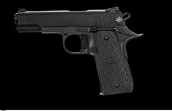 ARM 1911A1 380 PST PRK 7RD