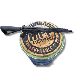 HIPP Customs EMS15 Rifle 5.56