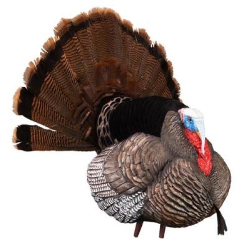 Higdon Outdoors Apex Strutter Hard Body Turkey