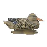 Higdon Outdoors Standard Mallard Foam Filled 6pk