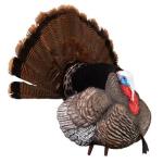 Higdon Outdoors Apex Strutter Hard Body Turkey