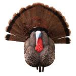 Higdon Outdoors Apex Strutter Hard Body Turkey