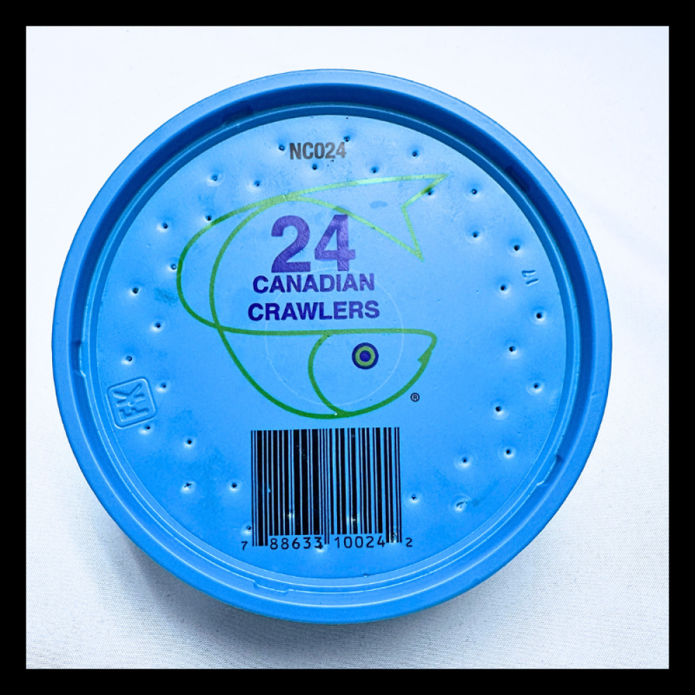 24CT NIGHT CRAWLERS