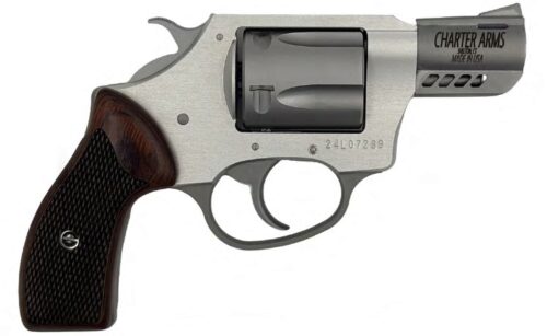 COYOTE 380ACP SS 2 5RD