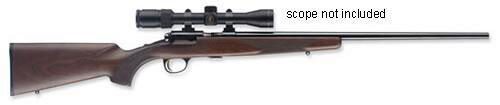BROWNING T-BOLT SPORTER .17HMR