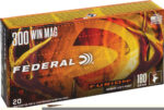 FEDERAL FUSION 300 WIN MAG
