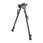 CHAMPION ROCK MOUNTAIN BI-POD