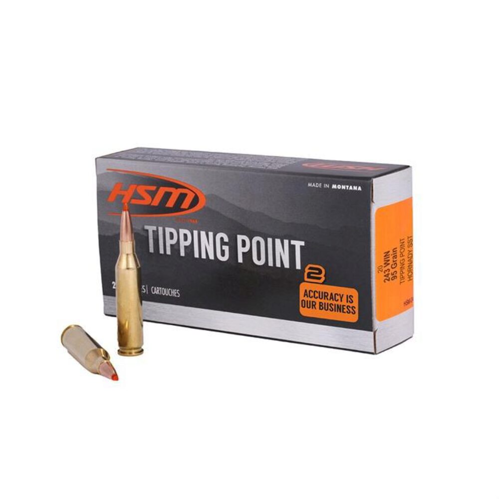HSM 243 WIN 95GR HORNADY SST