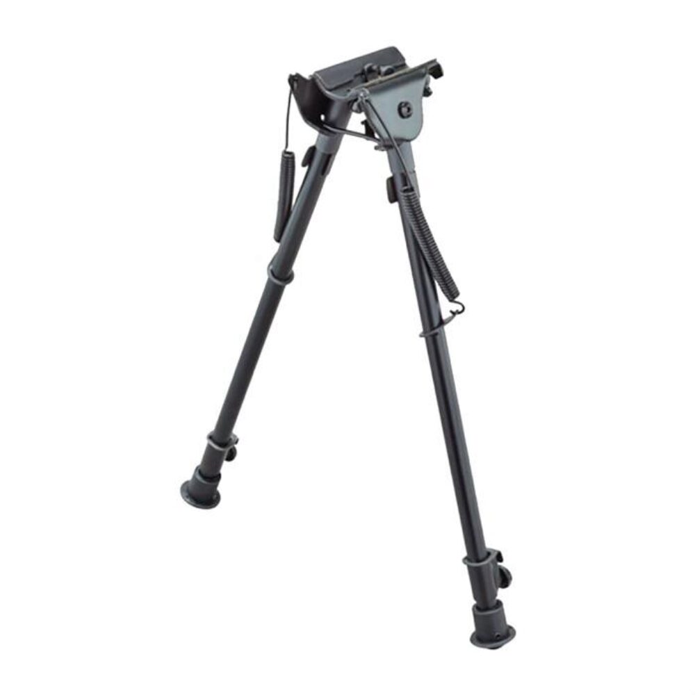 CHAMPION ROCK MOUNTAIN BI-POD