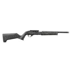Ruger 10/22 Carbine 22 LR