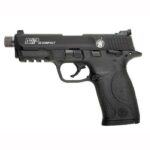 S&W MP22C 22LR 3.56B 10R TB