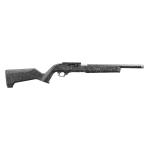 Ruger 10/22 Carbine 22 LR